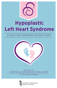 Hypoplastic Left Heart Syndrome booklet